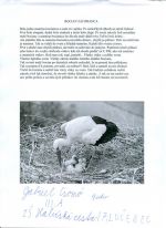 Csomó Gabriel 3.jpg